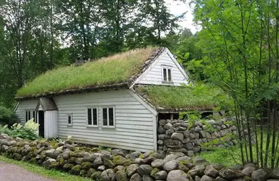 Benefits of a Green Roof