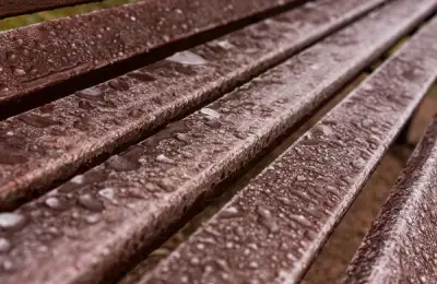 Choosing Weather-Resistant Garden Furniture: Tips for Selecting Pieces That Withstand Temperature and Humidity Changes While Adding Style to Your Garden