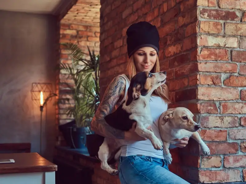 Cum să gestionezi relația dintre animalul tău de companie și vecinii din bloc