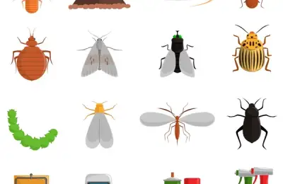 Protecting Your Home and Garden from Pests Naturally: Ecological Methods for Keeping Insects and Rodents Away