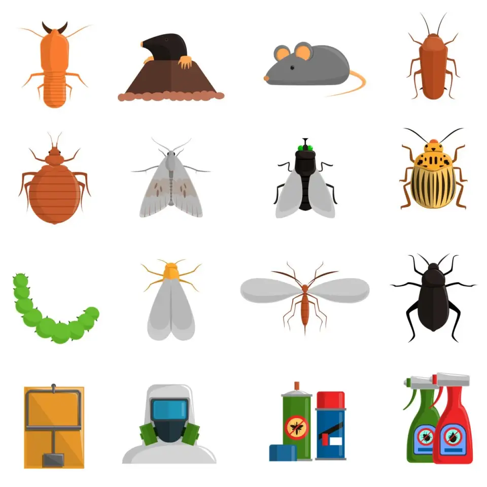Cum să protejezi casa și grădina de dăunători în mod natural – Metode ecologice pentru a ține insectele și rozătoarele la distanță