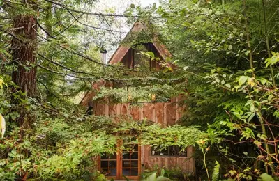 The House Built in the Forest by a Kayak Instructor with Minimal Resources