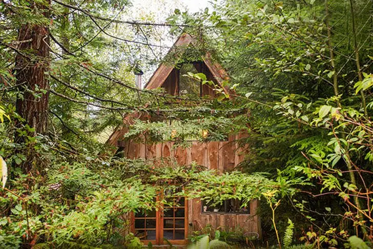 The House Built in the Forest by a Kayak Instructor with Minimal Resources