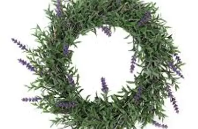 Aromatic Plants Keep Insects Away From Your Home