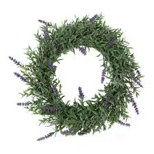 Aromatic Plants Keep Insects Away From Your Home