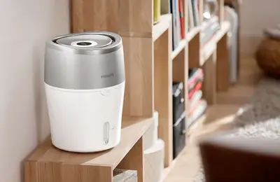 The Humidifier, Especially Good During Cold Seasons
