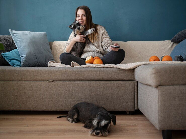 Pets in Apartments: 10 Tips for a Beautiful and Peaceful Life with Them