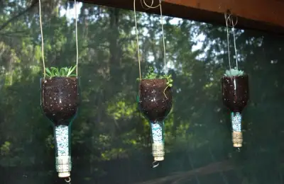 DIY: How to Make the Most Creative Planter?