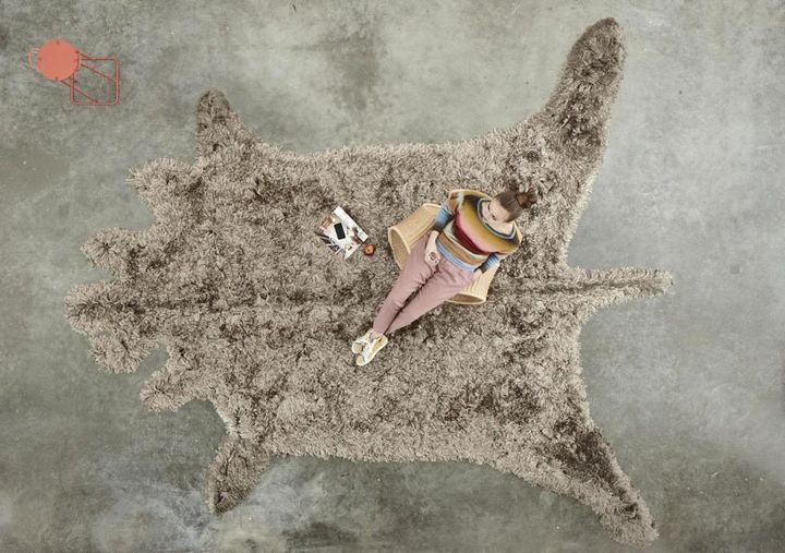 Roadkill: Controversial and Eccentric Rug Models