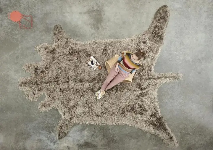 Roadkill: Controversial and Eccentric Rug Models
