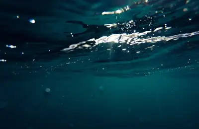 What is it, how does it work, and how do you choose a submersible pump?