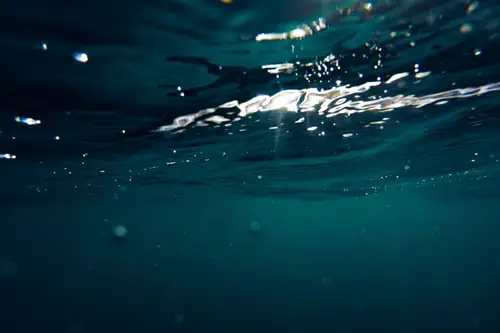 Ce este, cum functioneaza si cum alegi o pompa submersibila?