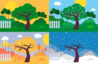 How to Organize Your Garden for Every Season