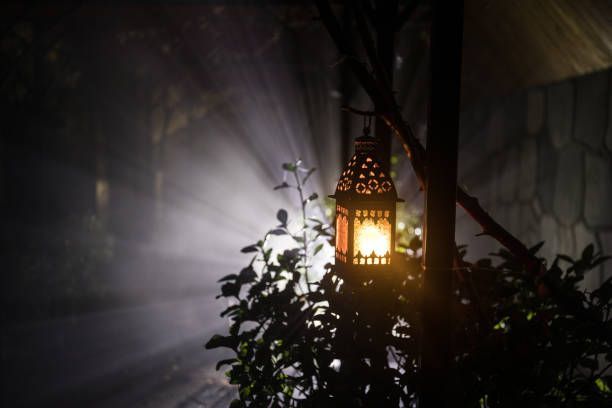 Choosing the Most Effective Lighting Solutions for Your Garden