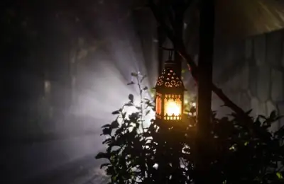 Choosing the Most Effective Lighting Solutions for Your Garden