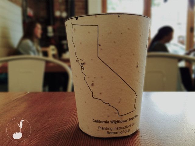 Biodegradable Cup: Drink a Coffee = Plant a Tree
