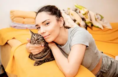 Love for Cats: Comfort and Beauty in the Midst of Life's Difficulties