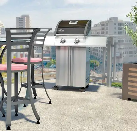 Modern and Multifunctional Outdoor Grill - Napoleon