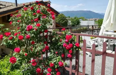 The Fence and Its Role in Terrace Design