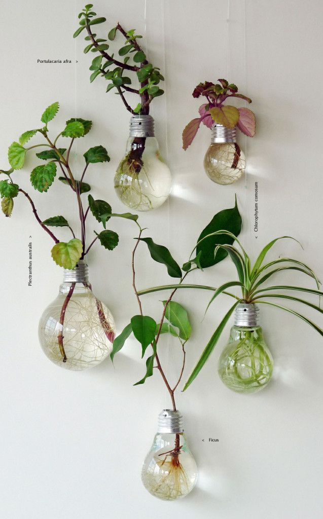 18 Ways to Personalize Your Walls
