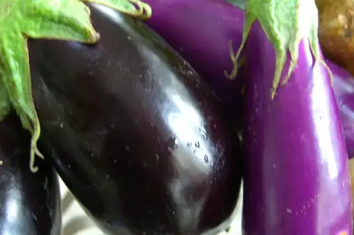 Cum se planteaza vinetele? (VIDEO)