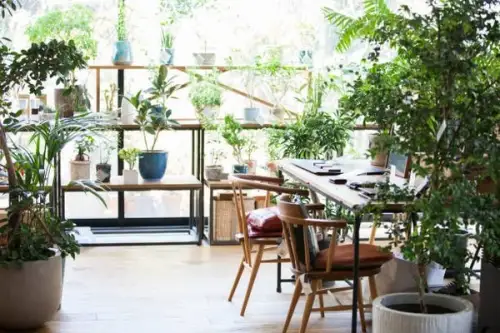 Idei inedite de a transforma o seră în zonă de dining