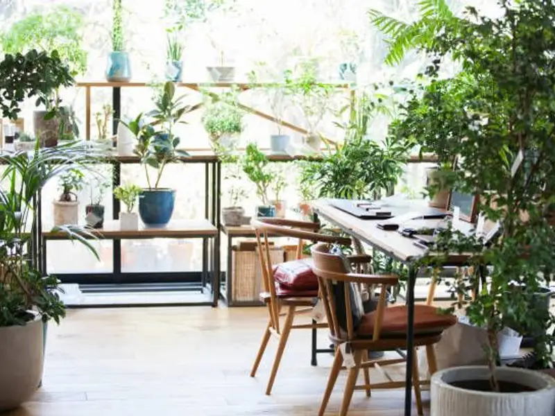 Idei inedite de a transforma o seră în zonă de dining