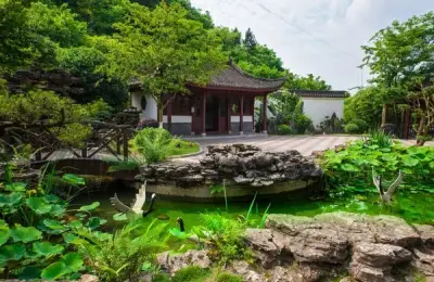 Choosing Flowers and Trees for Your Zen Garden Design