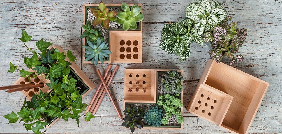 Multifunctional Design: Flower Pot with Pencil Holder