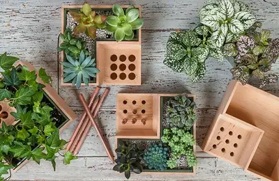 Multifunctional Design: Flower Pot with Pencil Holder