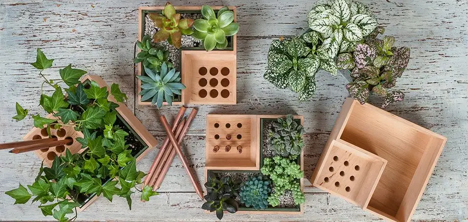 Multifunctional Design: Flower Pot with Pencil Holder