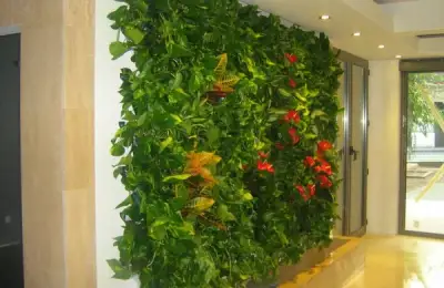 Living Walls: The Perfect Solution for Harmonizing Nature with Urban Space