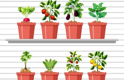 Creating a Vegetable Garden on Your Balcony: A Step-by-Step Guide