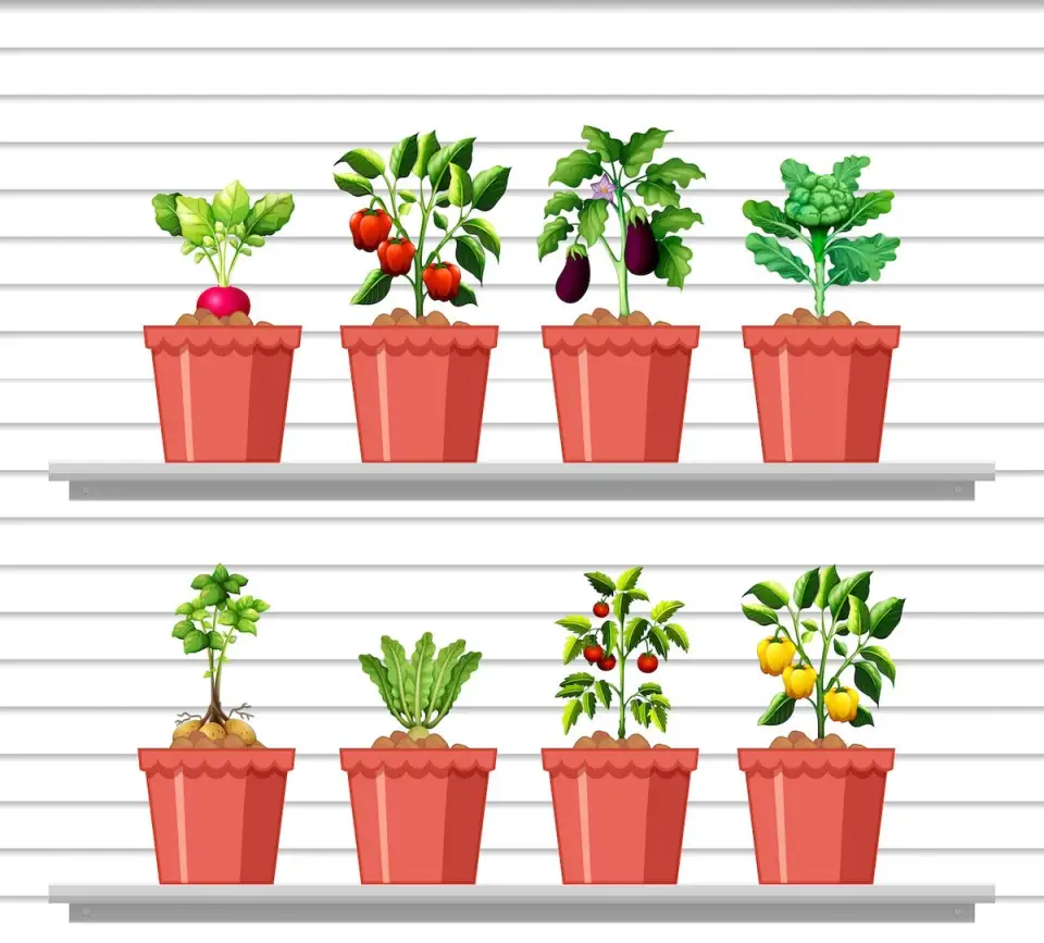 Cum să Creezi o Grădină de Legume pe Balcon: Ghid Pas cu Pas