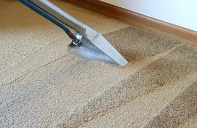 How to Effectively Clean Your Carpet