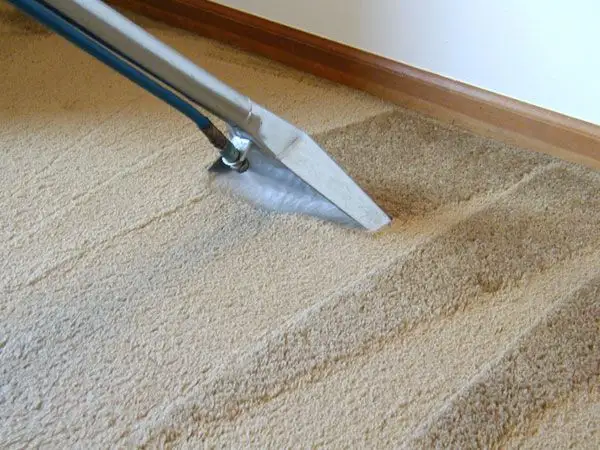 How to Effectively Clean Your Carpet