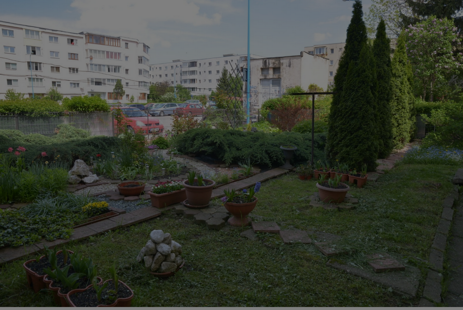 Idei și beneficii ale grădinilor comune pentru vecinii care locuiesc la bloc