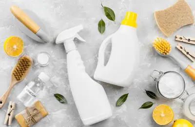 Essentials for Your Home