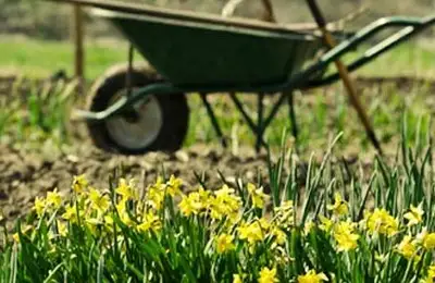 April Garden and Orchard Work