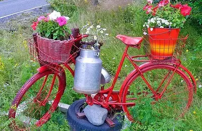 Creative Containers for Your Garden