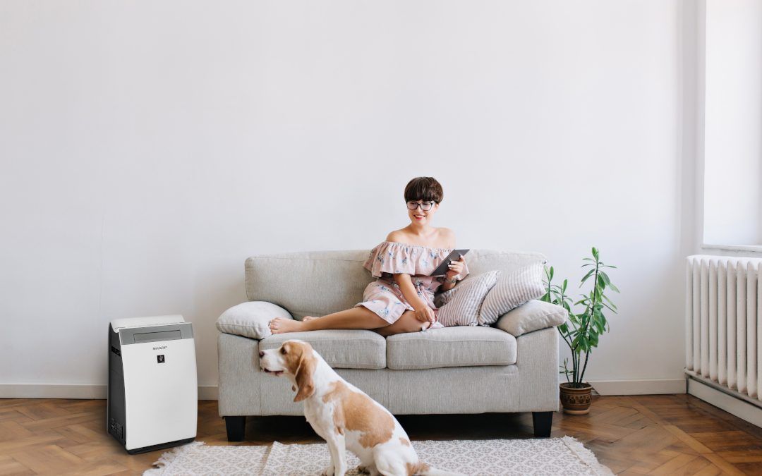 Air Purifiers: Necessity or Fad?