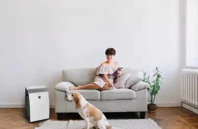 Air Purifiers: Necessity or Fad?