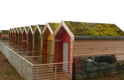 Vegetative Roofs: Solutions for Greening the Urban Landscape