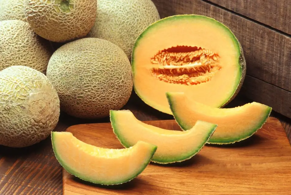 How to Plant Yellow Watermelon (VIDEO)
