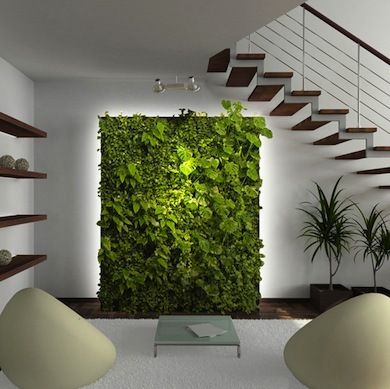 Vertical Gardens or How to Bring Nature into Your Home