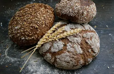 The Best Homemade Bread and Ciabatta Recipes for Beginners