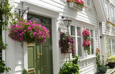 Outdoor Plant and Flower Decor for Your Home