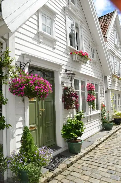 Decor cu plante si flori pentru exteriorul casei