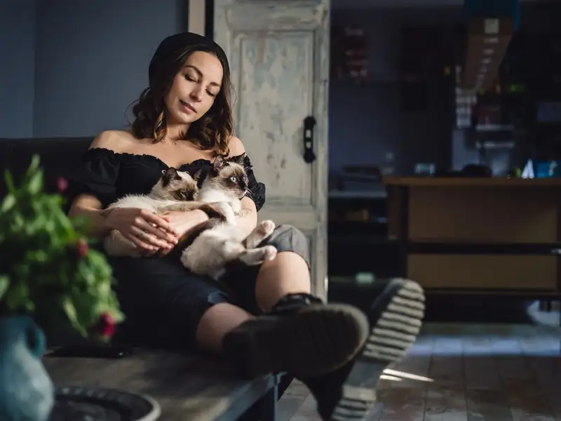 Organizarea unui spațiu funcțional pentru relaxare: Crearea unei zone dedicate relaxării