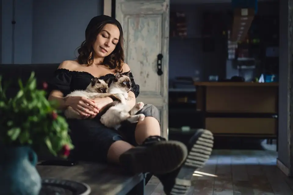 Organizarea unui spațiu funcțional pentru relaxare: Crearea unei zone dedicate relaxării